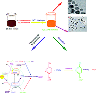 Graphical abstract: Indigenous north eastern India fern mediated fabrication of spherical silver and anisotropic gold nano structured materials and their efficacy for the abatement of perilous organic compounds from waste water-A green approach