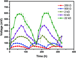 Graphical abstract: The effect of external resistance on biofilm formation and internal resistance in Shewanella inoculated microbial fuel cells