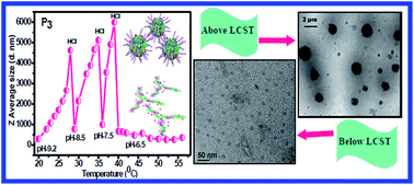 Graphical abstract: Water soluble stimuli-responsive star copolymers with multiple encapsulation and release properties