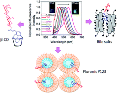 Graphical abstract: Introduction of an α,β-unsaturated carbonyl conjugated pyrene–lactose hybrid as a fluorescent molecular probe for micro-scale anisotropic media