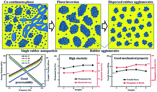 Graphical abstract: Properties and unique morphological evolution of dynamically vulcanized bromo-isobutylene-isoprene rubber/polypropylene thermoplastic elastomer
