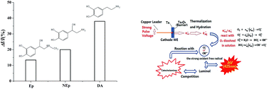 Graphical abstract: Determination of ultra-trace catecholamines based on hot electron-induced cathodic electrochemiluminescence at a naturally oxide-covered tantalum electrode