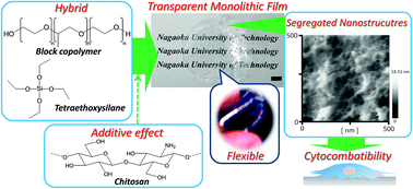 Graphical abstract: Effective segregation of cytocompatible chitosan molecules in a silica-surfactant nanostructure formation process
