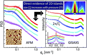 Graphical abstract: Growth of thiol-coated Au-nanoparticle Langmuir monolayers through a 2D-network of disk-like islands