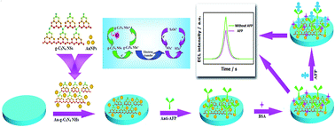 Graphical abstract: Simple and signal-off electrochemiluminescence immunosensor for alpha fetoprotein based on gold nanoparticle-modified graphite-like carbon nitride nanosheet nanohybrids