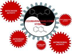 Graphical abstract: Coumarin–chalcone hybrids: promising agents with diverse pharmacological properties