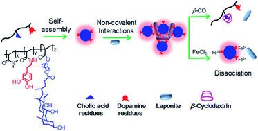 Graphical abstract: Nanocomposite hydrogels of LAPONITE® mixed with polymers bearing dopamine and cholic acid pendants