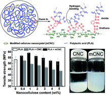 Graphical abstract: Physiochemical, optical and mechanical properties of poly(lactic acid) nanocomposites filled with toluene diisocyanate grafted cellulose nanocrystals