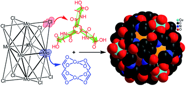 Graphical abstract: Synthesis, structure and properties of an octahedral dinuclear-based Cu12 nanocage of trimesoyltri(l-alanine)