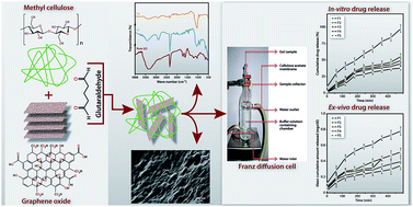 Graphical abstract: Cross-linked methyl cellulose/graphene oxide rate controlling membranes for in vitro and ex vivo permeation studies of diltiazem hydrochloride