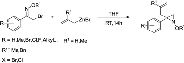 Graphical abstract: Synthesis of allyl-aziridines from α-halo oxime ethers and allyl zinc bromides