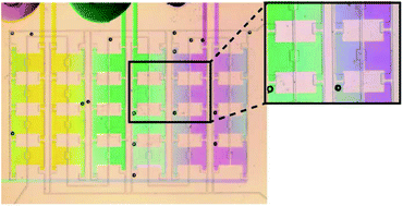 Graphical abstract: Solvent compatible microfluidic platforms for pharmaceutical solid form screening