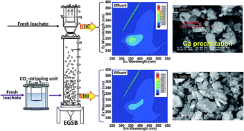 Graphical abstract: Application of a CO2-stripping system for calcium removal to upgrade organic matter removal and sludge granulation in a leachate-fed EGSB bioreactor