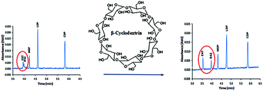 Graphical abstract: Determination of six anti-Parkinson drugs using cyclodextrin-capillary electrophoresis method: application to pharmaceutical dosage forms