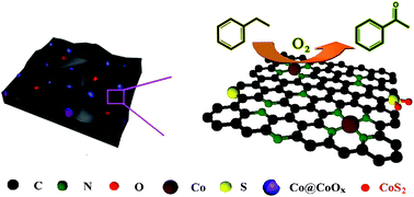 Graphical abstract: Sulfur-mediated synthesis of N-doped carbon supported cobalt catalysts derived from cobalt porphyrin for ethylbenzene oxidation