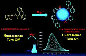 Graphical abstract: A highly specific ‘turn-on’ fluorescent detection of Mg2+ through a xanthene based fluorescent molecular probe