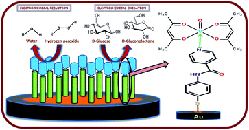 Graphical abstract: Non-enzymatic electrochemical sensing of glucose and hydrogen peroxide using a bis(acetylacetonato)oxovanadium(iv) complex modified gold electrode