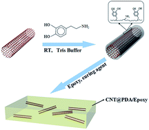 Graphical abstract: Epoxy resin reinforced with nanothin polydopamine-coated carbon nanotubes: a study of the interfacial polymer layer thickness