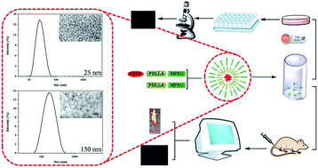 Graphical abstract: The evaluation of cellular uptake efficiency and tumor-targeting ability of MPEG–PDLLA micelles: effect of particle size