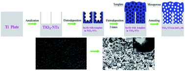 Graphical abstract: Preparation of porous TiO2-NTs/m-SnO2-Sb electrode for electrochemical degradation of benzoic acid
