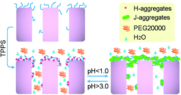 Graphical abstract: pH-responsive ethylene vinyl alcohol copolymer membrane based on porphyrin supramolecular self-assembly