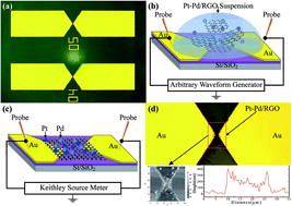 Graphical abstract: The hydrogen sensing properties of Pt–Pd/reduced graphene oxide based sensor under different operating conditions