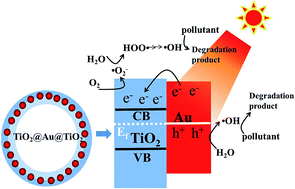 Graphical abstract: Enhanced photocatalytic activity of a hollow TiO2–Au–TiO2 sandwich structured nanocomposite