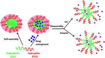 Graphical abstract: Photoresponsive amphiphilic azobenzene–PEG self-assembles to form supramolecular nanostructures for drug delivery applications