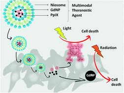 Graphical abstract: Multimodal theranostic assemblies: double encapsulation of protoporphyrine-IX/Gd3+ in niosomes