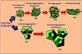 Graphical abstract: Growth mechanisms and origin of localized surface plasmon resonance coupled exciton effects in Cu2−xS thin films