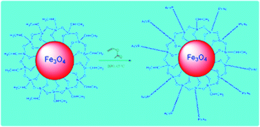 Graphical abstract: Fe3O4–PVAc nanocomposites: surface modification of sonochemically prepared magnetite nanoparticles via chemical grafting of poly(vinyl acetate)