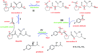 Graphical abstract: Density functional theory study of the mechanism of a dipeptide-catalyzed intermolecular aldol reaction—the effects of steric repulsion interactions on stereoselectivity