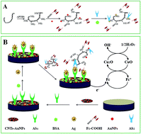 Graphical abstract: A porous CuO nanowire-based signal amplification immunosensor for the detection of carcinoembryonic antigens