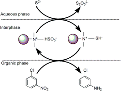 Graphical abstract: Novelties of triphasic phase transfer catalysed Zinin reduction of nitrochlorobenzene by H2S-laden monoethanolamine