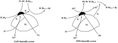 Graphical abstract: Reductive dehalogenation of brominated disinfection byproducts by iron based bimetallic systems