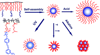 Graphical abstract: Polymer nanoparticles self-assembled from photo-, pH- and thermo-responsive azobenzene-functionalized PDMAEMA
