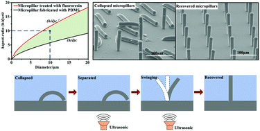 Graphical abstract: Ultrasound-assisted recovery of free-standing high-aspect-ratio micropillars