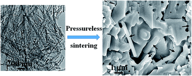 Graphical abstract: High mechanical strength bioactive wollastonite bioceramics sintered from nanofibers