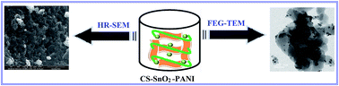 Graphical abstract: Twist fibrous structure of CS–SnO2–PANI ternary hybrid composite for electrochemical capacitance performance