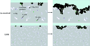 Graphical abstract: Microstructure and corrosion behaviour of laser surface melting treated WE43 magnesium alloy