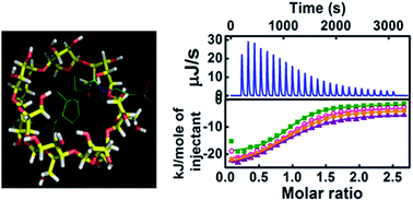 Graphical abstract: Direct insight into the nonclassical hydrophobic effect in bile salt:β-cyclodextrin interaction: role of hydrophobicity in governing the prototropism of a biological photosensitizer