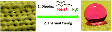 Graphical abstract: Water-based, heat-assisted preparation of water-repellent cotton fabrics using graft copolymers