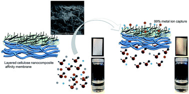 Graphical abstract: High-flux affinity membranes based on cellulose nanocomposites for removal of heavy metal ions from industrial effluents