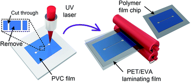 Graphical abstract: A low cost and quasi-commercial polymer film chip for high-throughput inertial cell isolation