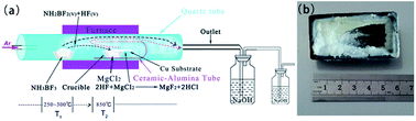 Graphical abstract: High yield synthesis and optical properties of MgF2 nanowires with high aspect ratios