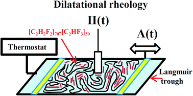 Graphical abstract: Dilatational rheology studies on a semicrystalline ferroelectric copolymer at the air–water interface