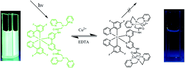 Graphical abstract: A novel cyclometalated Ir(iii) complex based luminescence intensity and lifetime sensor for Cu2+