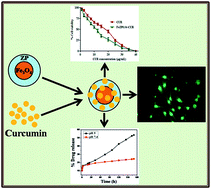 Graphical abstract: Fe3O4@zirconium phosphate core–shell nanoparticles for pH-sensitive and magnetically guided drug delivery applications