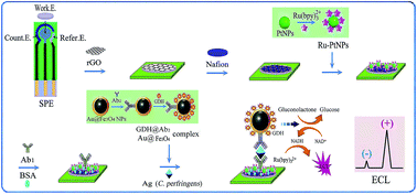 Graphical abstract: An electrochemiluminescence sensor with dual signal amplification of Ru(bpy)32+ based on PtNPs and glucose dehydrogenase for diagnosis of gas gangrene