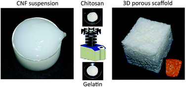 Graphical abstract: 3-Dimensional porous nanocomposite scaffolds based on cellulose nanofibers for cartilage tissue engineering: tailoring of porosity and mechanical performance